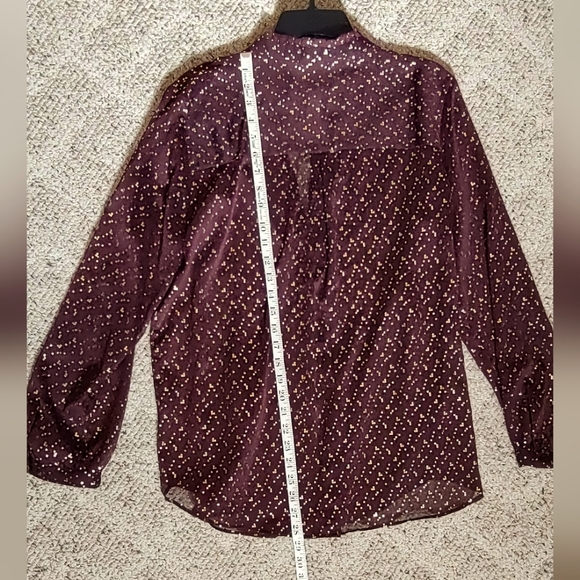 Sheer Blouse with Nice Details - Picture 8 of 8